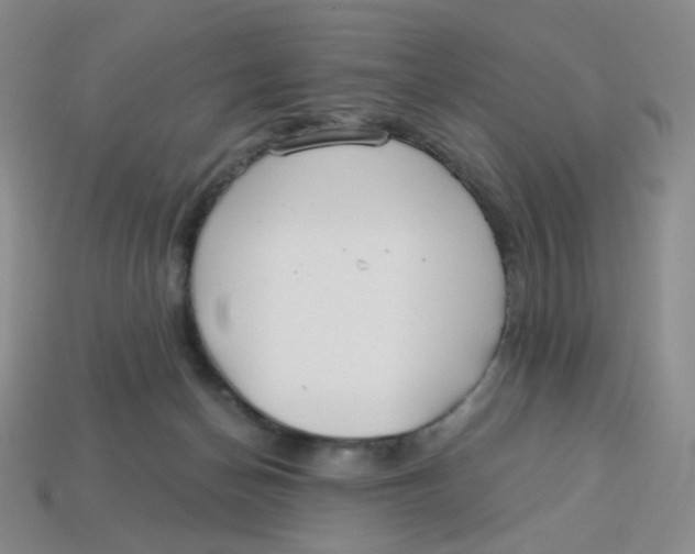 X0000113580174200910161548