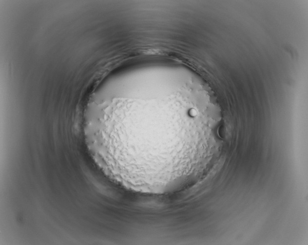 X0000113580175200910161548