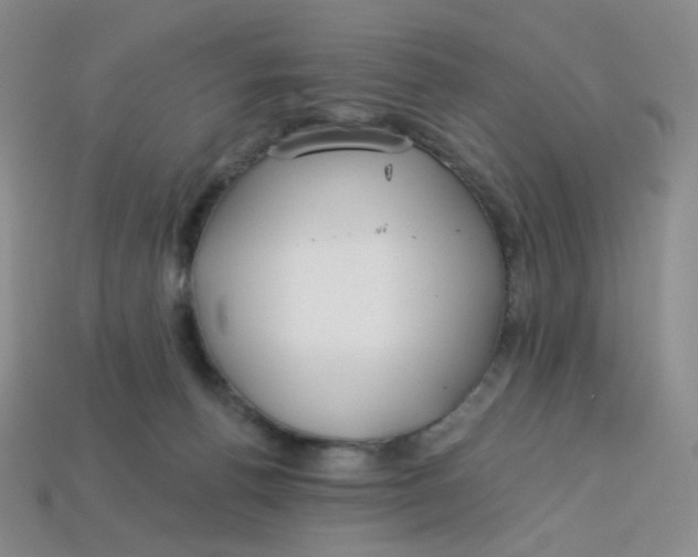 X0000113580176200910161548