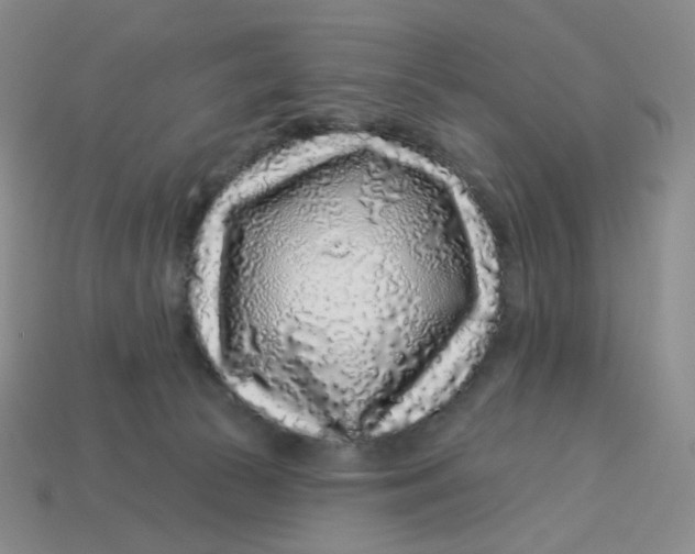 X0000113580177200910161548