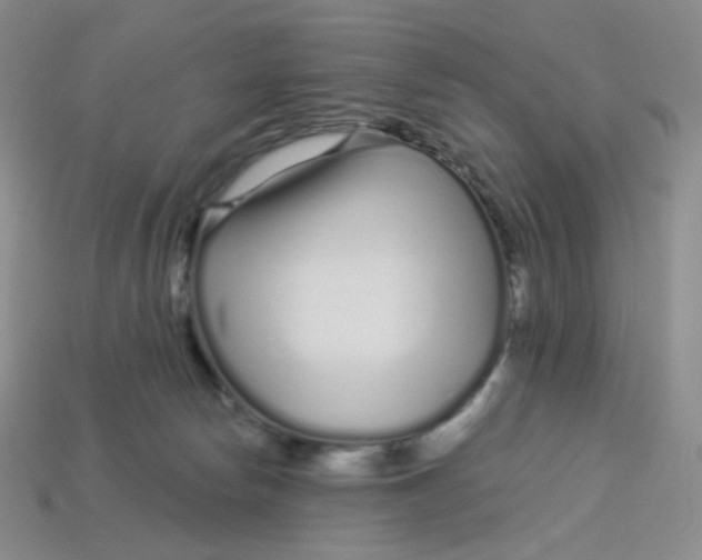 X0000113580178200910161548