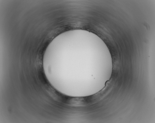 X0000113580179200910161548