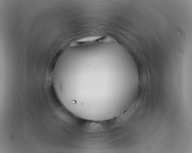 X0000113580180200910161548