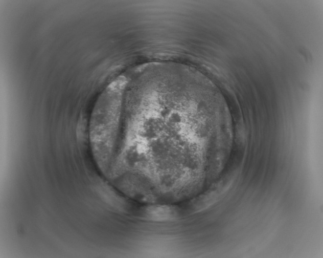 X0000113580181200910161548