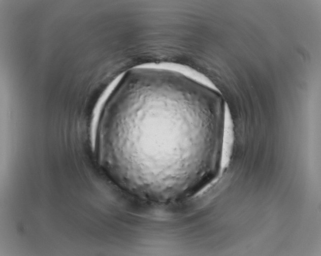 X0000113580182200910161548