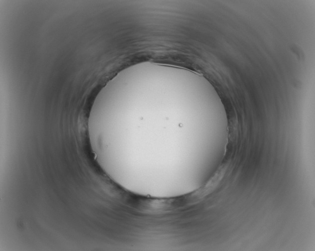 X0000113580184200910161548