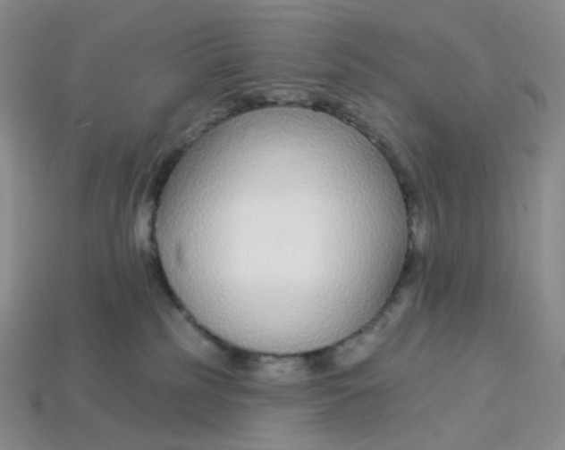 X0000113580185200910161548