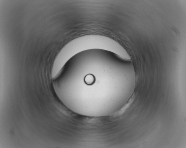 X0000113580186200910161548