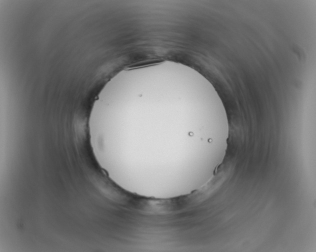 X0000113580188200910161548