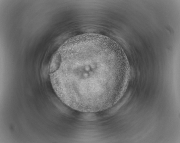 X0000113580189200910161548