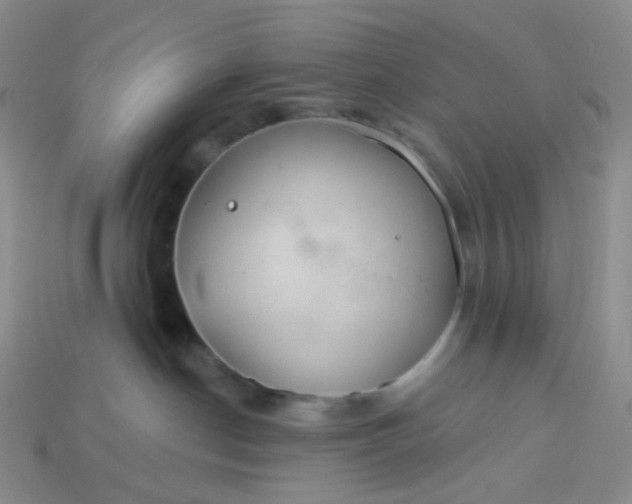 X0000113580190200910161548