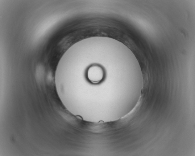 X0000113580191200910161548