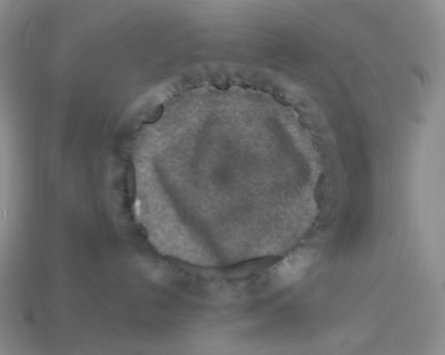 X0000113580192200910161548