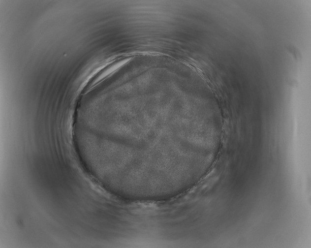 X0000113580194200910161547