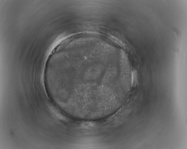 X0000113580195200910161547