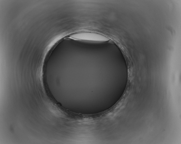 X0000113580196200910161547