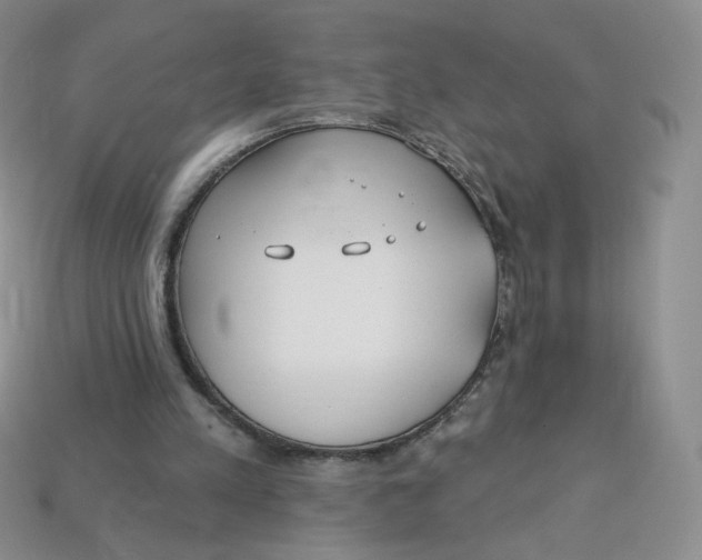 X0000113580197200910161547