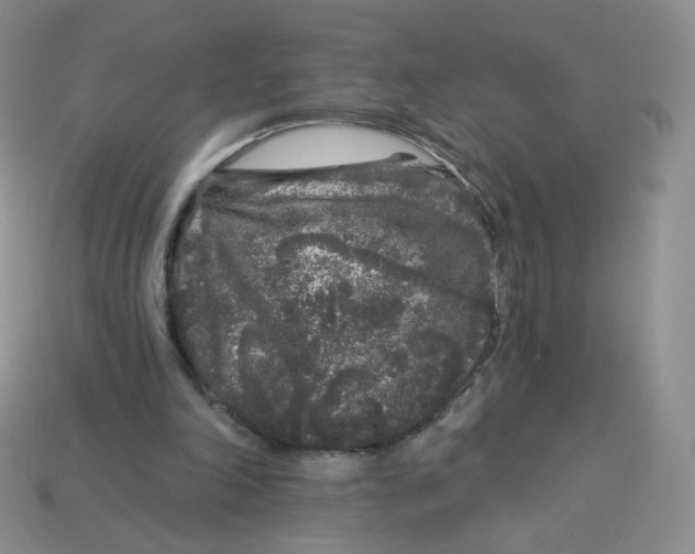 X0000113580198200910161547