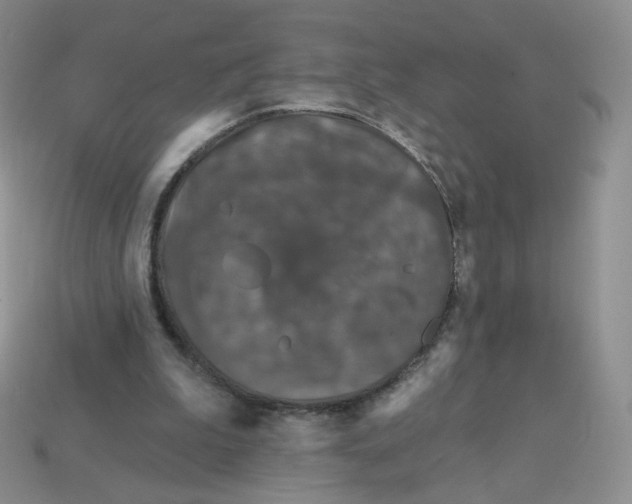 X0000113580199200910161547