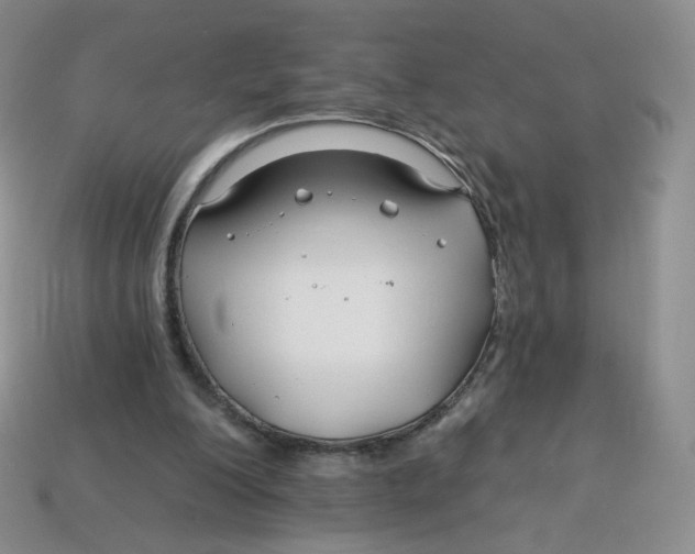 X0000113580200200910161547