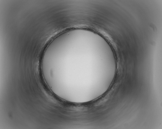 X0000113580201200910161547