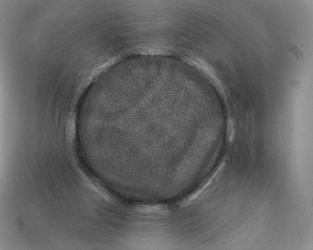 X0000113580202200910161547