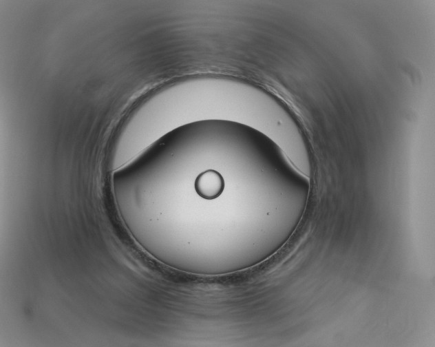 X0000113580203200910161547