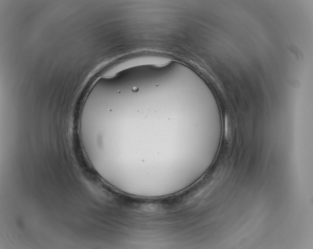 X0000113580204200910161547