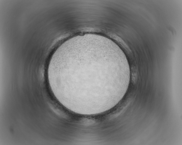 X0000113580207200910161547