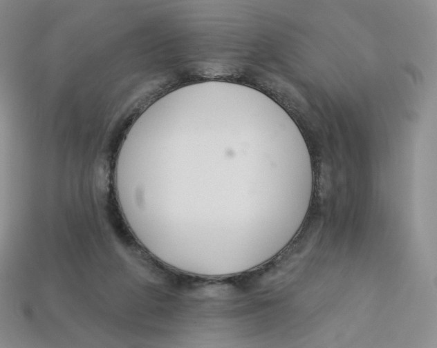 X0000113580210200910161547