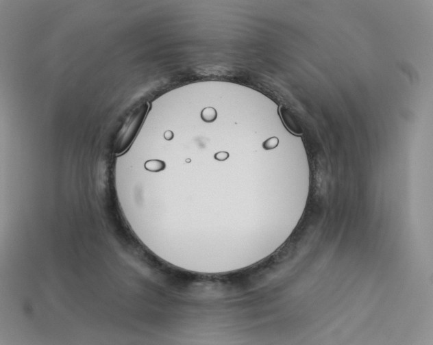 X0000113580211200910161547