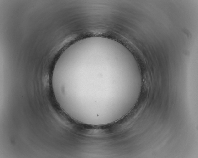 X0000113580212200910161547