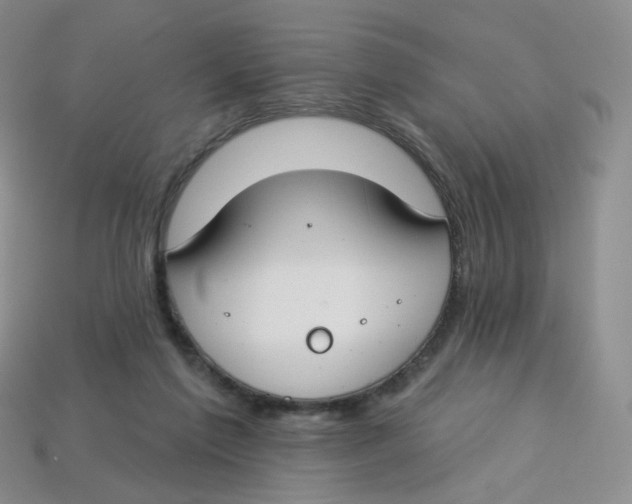 X0000113580213200910161547