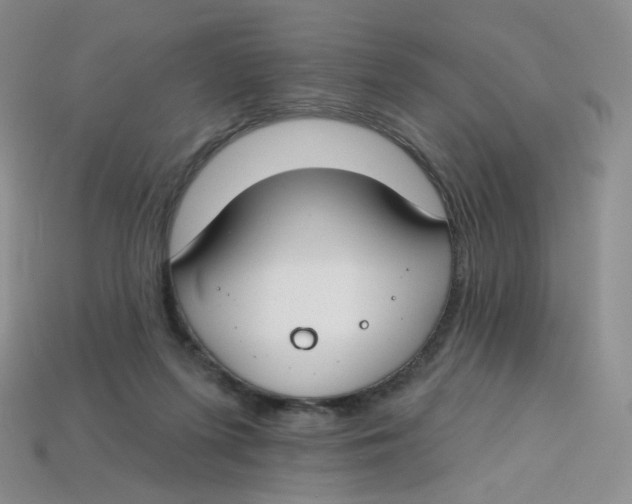 X0000113580215200910161547