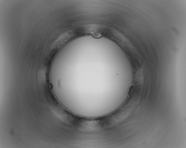 X0000113580217200910161547