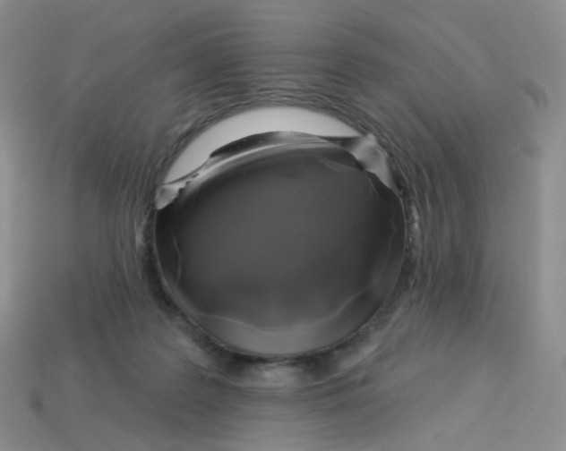 X0000113580219200910161547