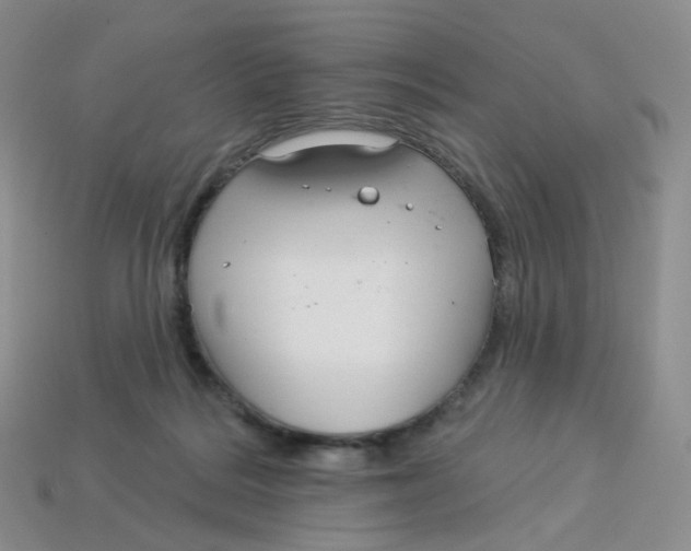 X0000113580220200910161547