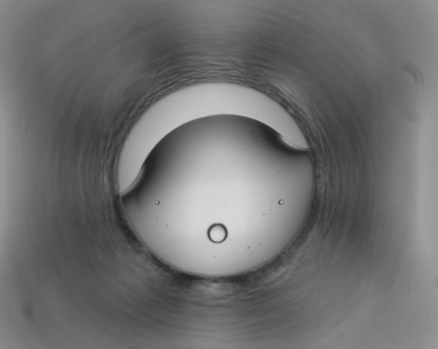 X0000113580221200910161547