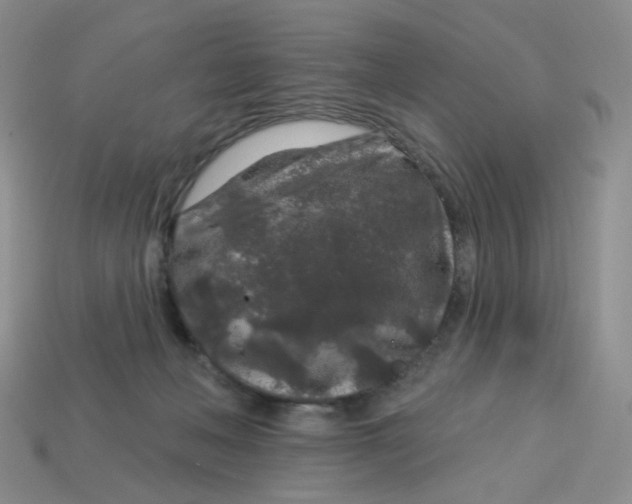 X0000113580222200910161547