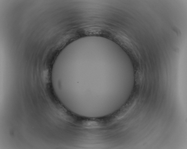 X0000113580224200910161547