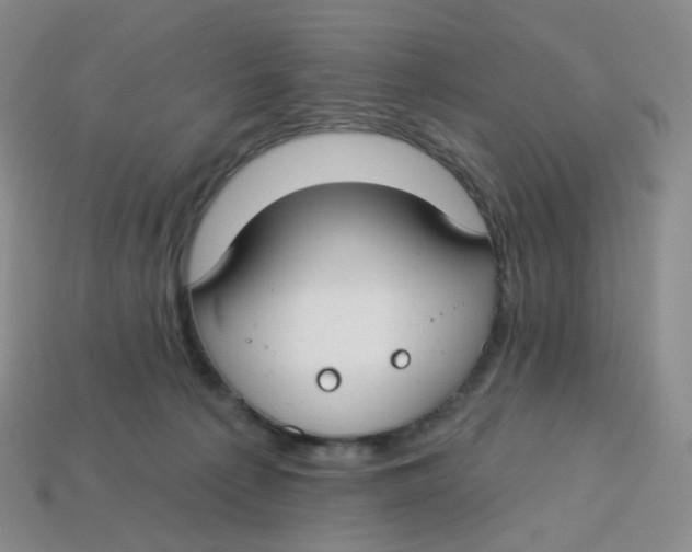 X0000113580225200910161547