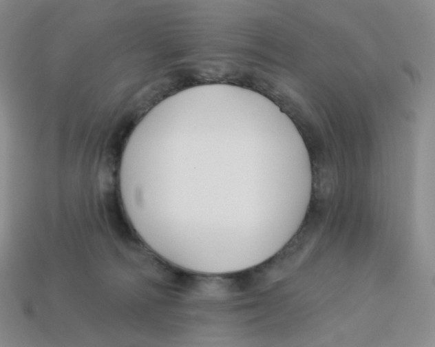 X0000113580226200910161547