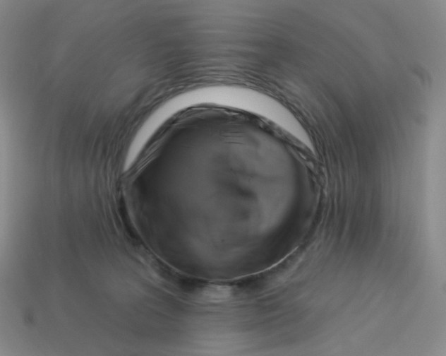 X0000113580227200910161547