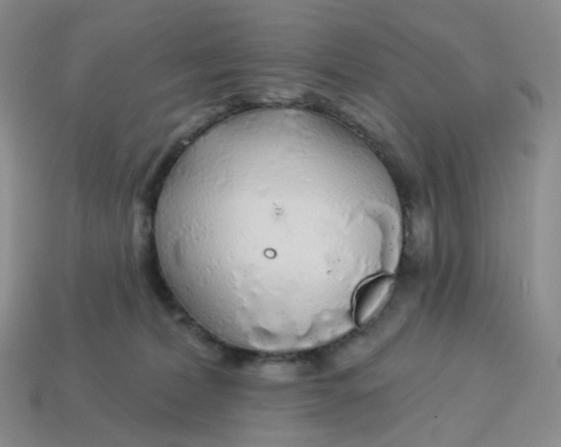 X0000113580228200910161547