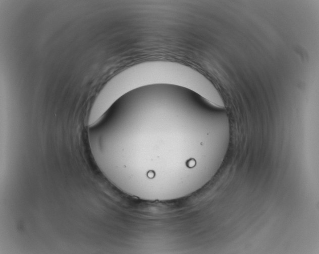 X0000113580229200910161547