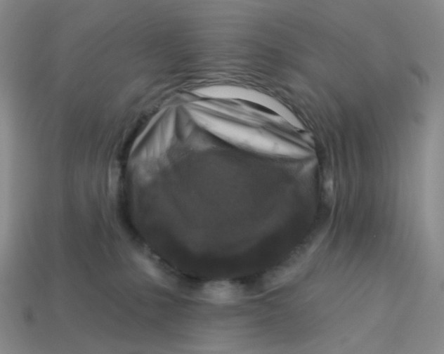 X0000113580231200910161547