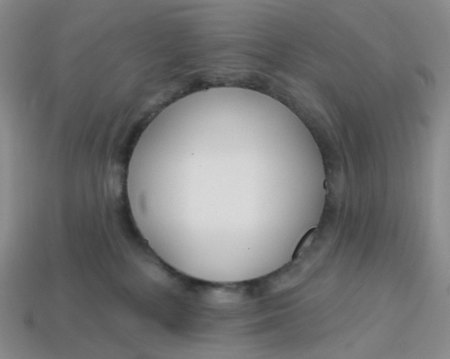 X0000113580232200910161547