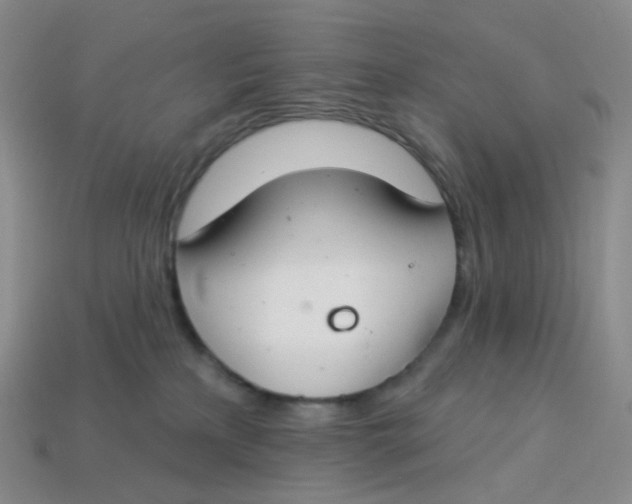 X0000113580233200910161547