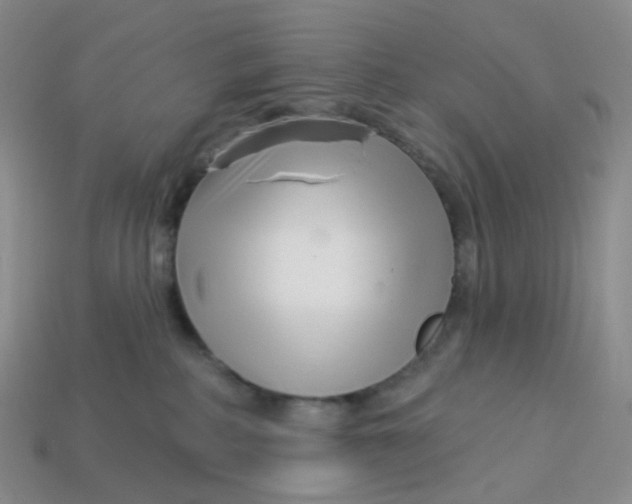 X0000113580234200910161547