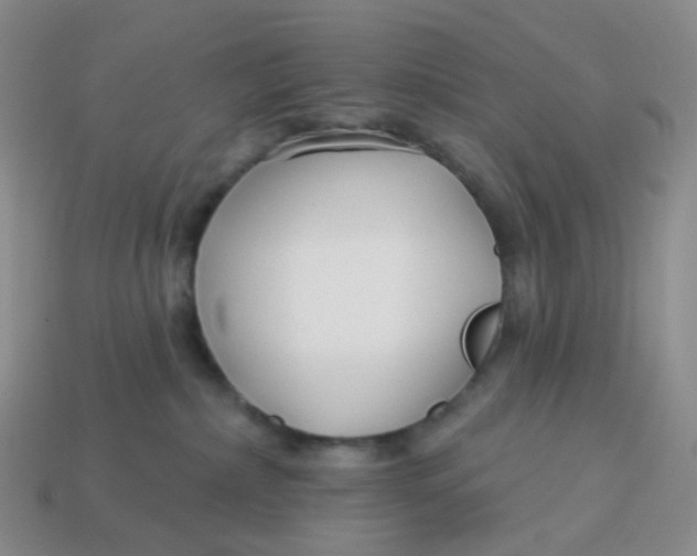 X0000113580236200910161547